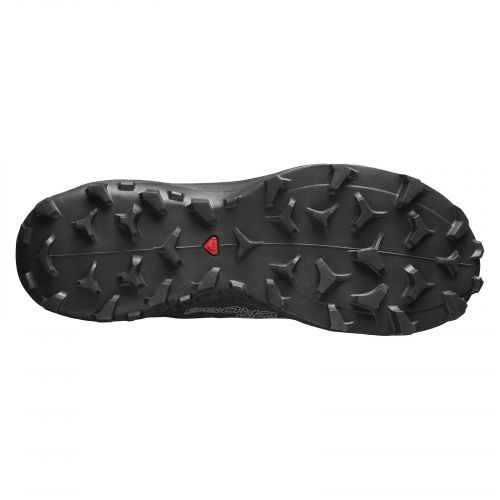 Buty do biegania męskie Salomon Wildcross L41105500