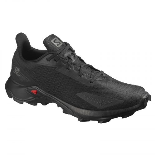 Buty do biegania męskie Salomon Alphacross Blast L41232600