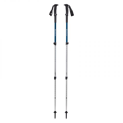 Kije trekkingowe Black Diamond Trail Sport 3