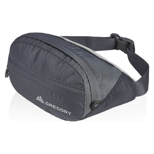 Saszetka biodrowa Gregory Nano 126861