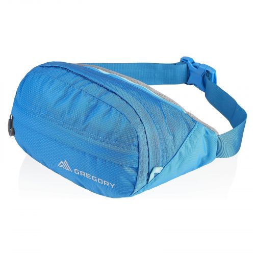 Saszetka biodrowa Gregory Nano 126861