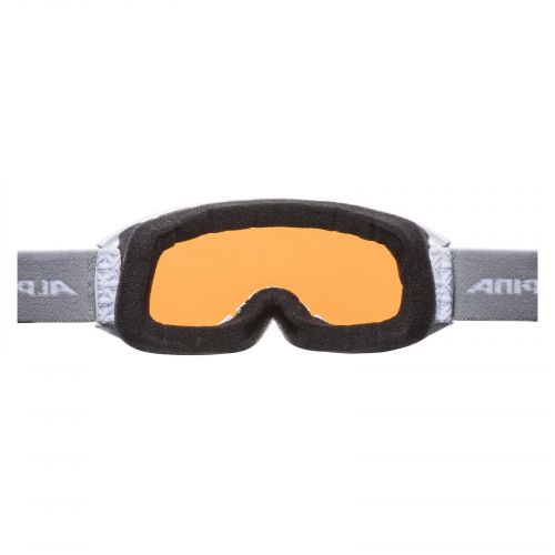Gogle narciarskie Alpina Nakiska DH S2 7281