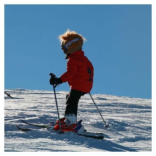 Nakładka na kask narciarski Coolcasc Lion