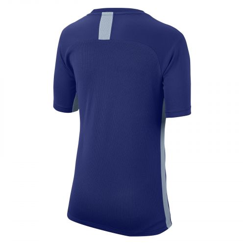 Koszulka Nike Dri-FIT Academy Jr AO0739