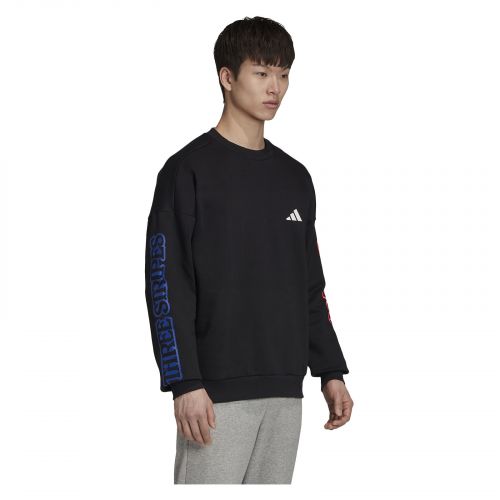Bluza męska adidas The 3-Stripes Graphic Sweatshirt FS4047