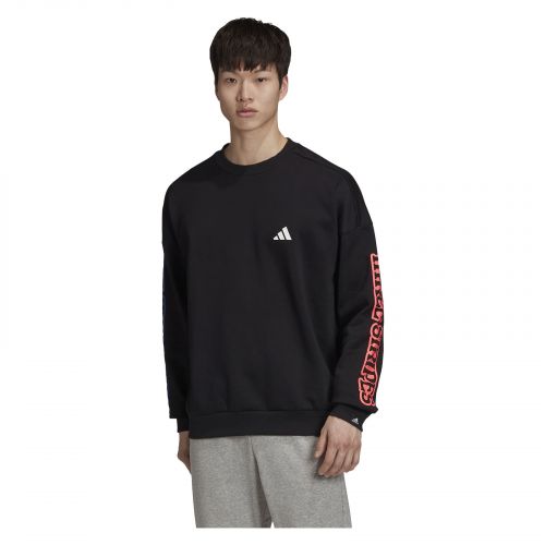 Bluza męska adidas The 3-Stripes Graphic Sweatshirt FS4047