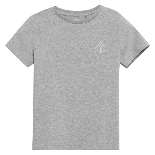 Koszulka bawełniana dla chłopców 4F Boy HJZ21-JTSM007 