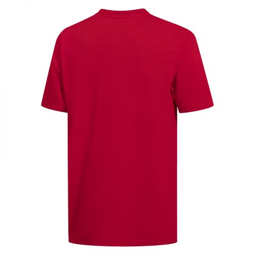 Koszulka męska adidas Essentials Big Logo GK9124