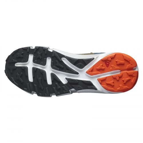 Buty turystyczne męskie Salomon Predict Hike Mid GTX 414611