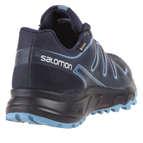 Buty męskie do biegania Salomon Lionee GTX L413326