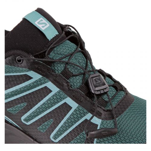 Buty damskie do biegania Salomon Lionee GTX L413327 