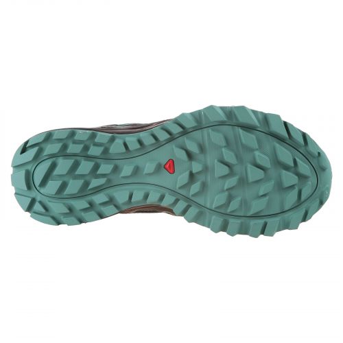 Buty damskie do biegania Salomon Lionee GTX L413327 