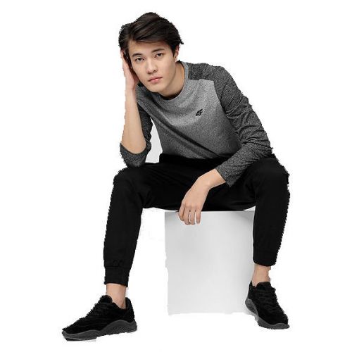 Spodnie męskie 4F H4L21-SPMC010