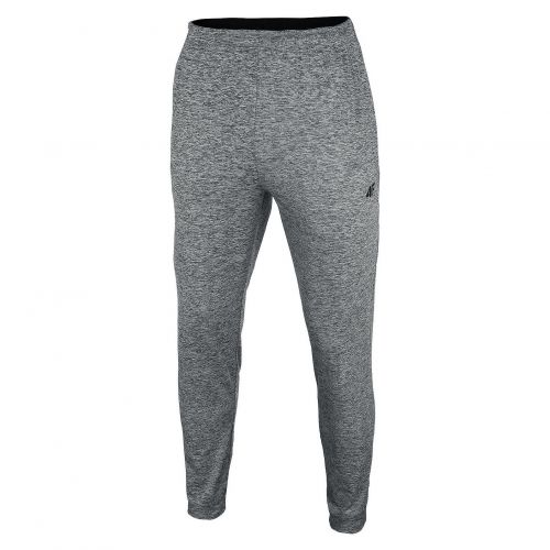 Spodnie męskie treningowe 4F L21-SPMTR001