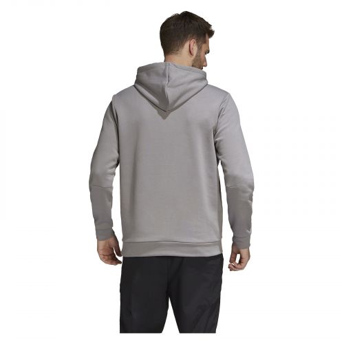 Bluza męska adidas Terrex Graphic Logo Hoodie GL6108