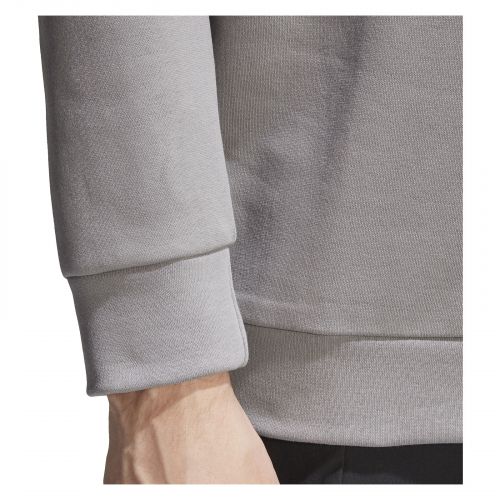 Bluza męska adidas Terrex Graphic Logo Hoodie GL6108