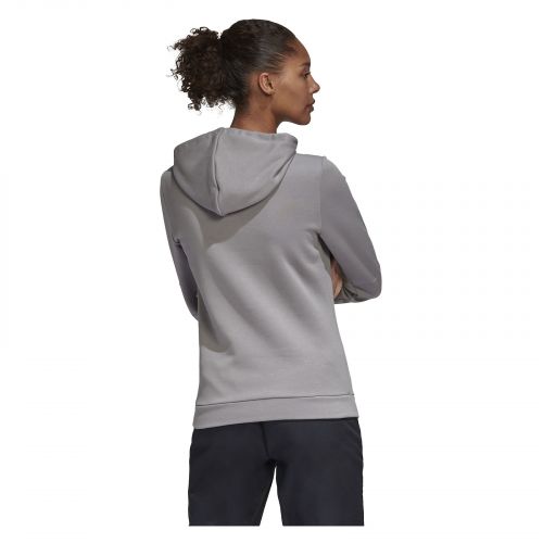 Bluza damska adidas Terrex Graphic Logo Hoodie GL6116