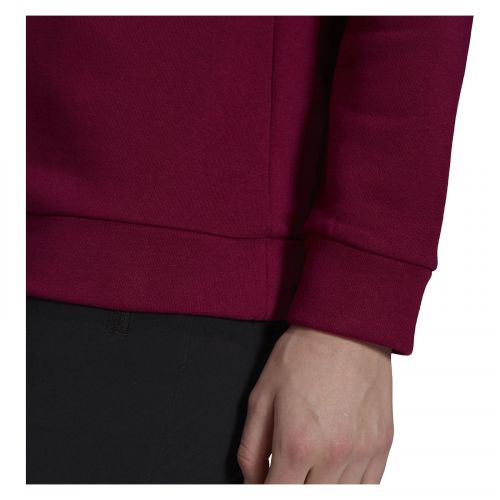 Bluza damska adidas Terrex Graphic Logo Hoodie GU2563