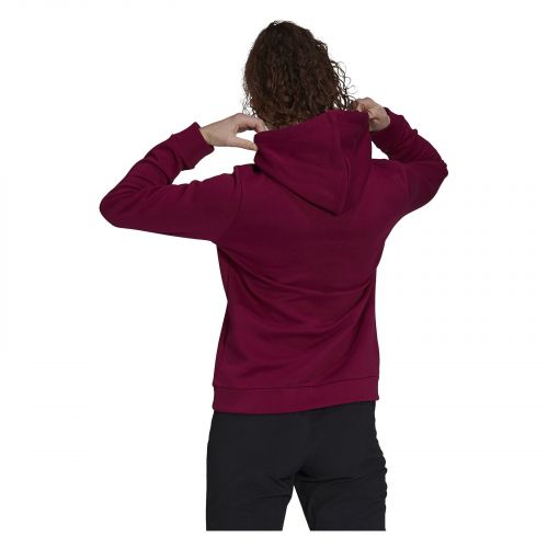 Bluza damska adidas Terrex Graphic Logo Hoodie GU2563