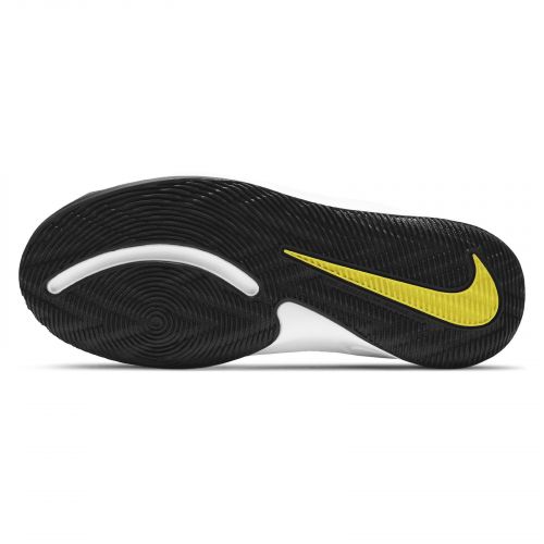 Buty Nike Team Hustle D 9AQ4224 