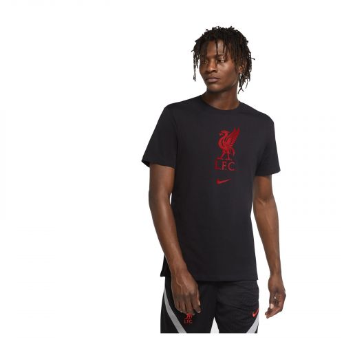 Koszulka kibica Nike Liverpool FC CZ8182