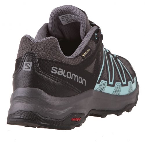 Buty trekkingowe damskie Salomon Leonis GTX 415472