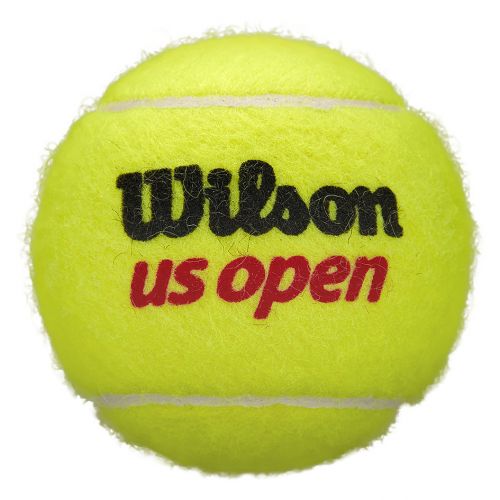 Piłki Wilson US Open WRT1162 (4 szt.)