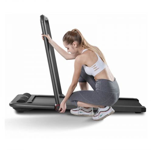 Bieżnia do chodzenia FlowFitness DTM200i