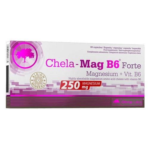Odżywki Chela Mag 60
