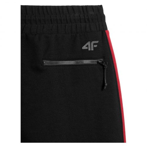 Spodenki męskie 4F H4L22-SKMD012