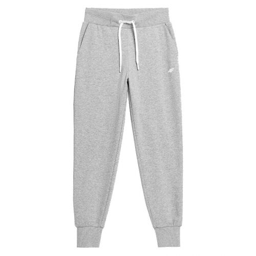 Spodnie dresowe damskie 4F H4L22-SPDD350