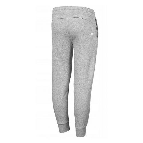 Spodnie dresowe dla dzieci 4F HJL22-JSPDD001