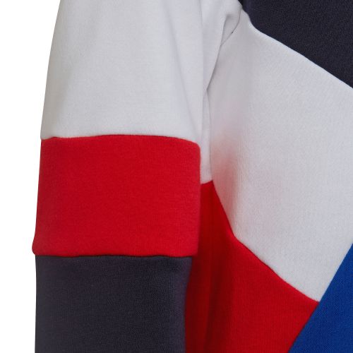 Bluza dla dzieci adidas Colorblock Fleece Hoodie HA4006