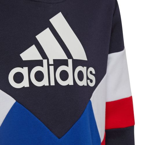 Bluza dla dzieci adidas Colorblock Fleece Hoodie HA4006