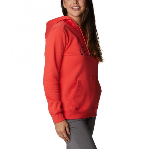 Bluza damska Columbia Logo Hoodie 1895751
