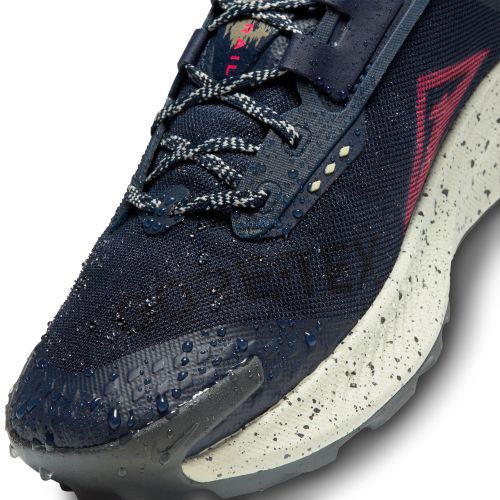 Buty męskie do biegania w terenie Nike Pegasus Trail 3 GTX DC8793