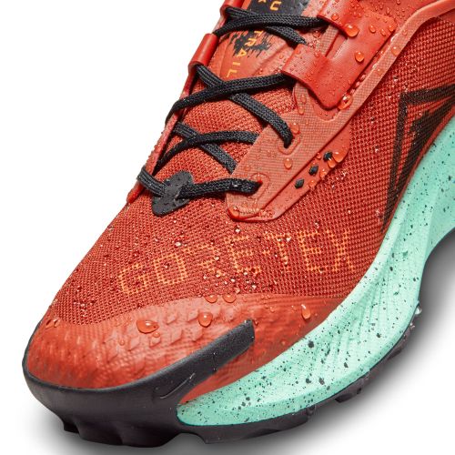 Buty męskie do biegania w terenie Nike Pegasus Trail 3 GTX DC8793