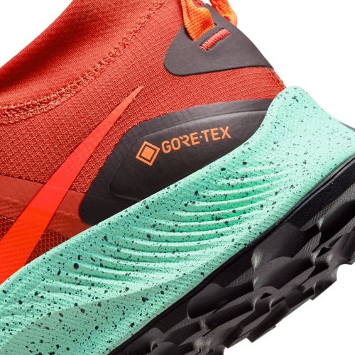 Buty męskie do biegania w terenie Nike Pegasus Trail 3 GTX DC8793