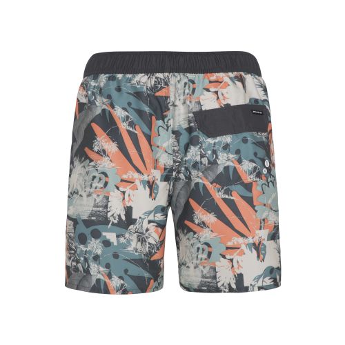 Szorty męskie plażowe Protest Prtcadal Board 2710021
