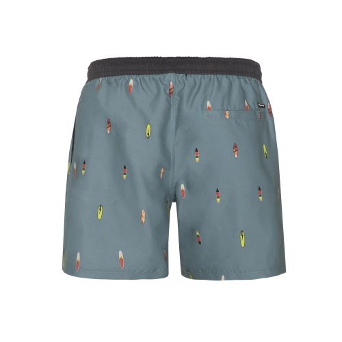 Szorty męskie plażowe Protest Prtfirdows Short 2712021