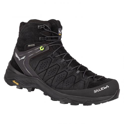 Buty trekkingowe męskie Salewa Alp Trainer 2 Mid GTX 61382