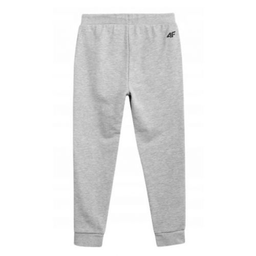 Spodnie dresowe joggery dla dzieci 4F HJL22-JSPMD001