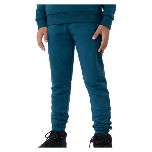 Spodnie dresowe joggery dla dzieci 4F HJL22-JSPMD001