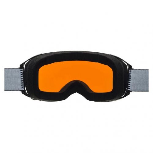 Gogle narciarskie Alpina Big Horn Q-Lite S2 7207836