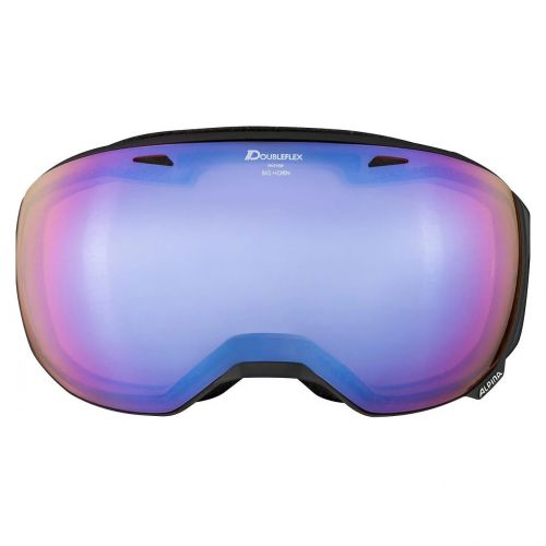 Gogle narciarskie Alpina Big Horn Q-Lite S2 7207836