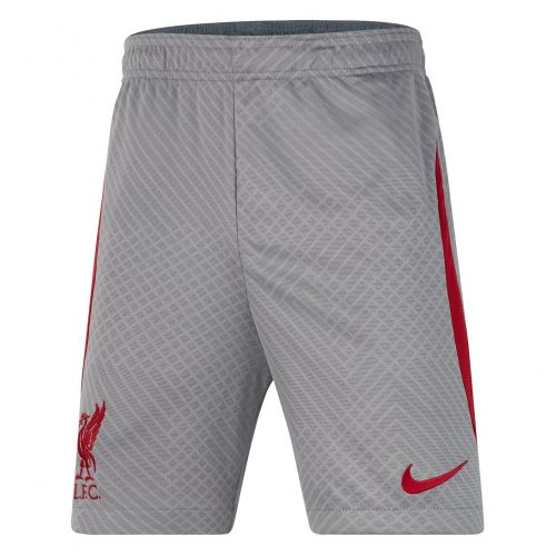 Spodenki piłkarskie chłopięce Nike Liverpool F.C. Strike DR4694