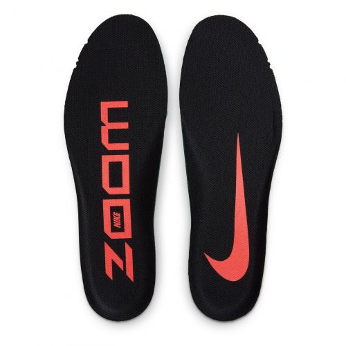 Buty do biegania damskie Nike Air Zoom Pegasus FlyEase DJ7383