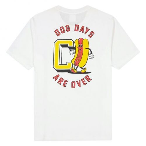 Koszulka męska Champion Rochester Graphic 218631