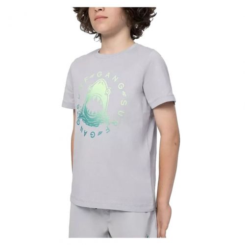 Koszulka sportowa dla chłopców 4F 4FJSS23TTSHM283