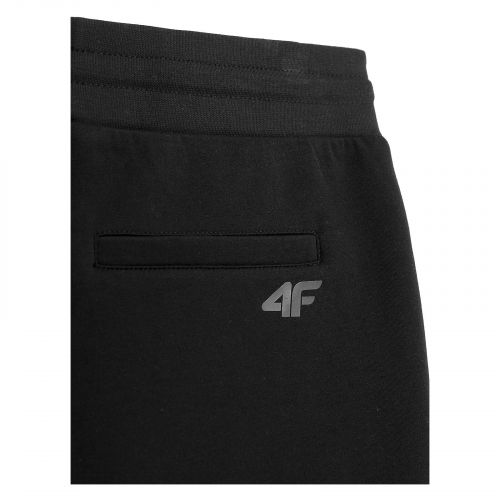 Spodnie męskie joggery 4F 4FSS23TTROM152